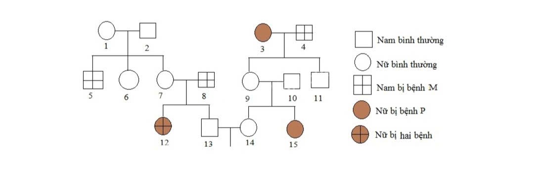 Ảnh câu hỏi 105