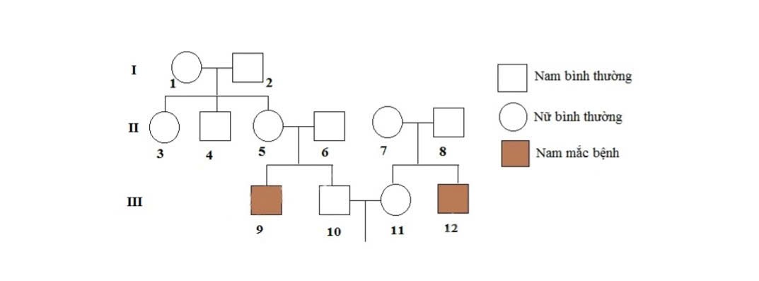 Ảnh câu hỏi 107
