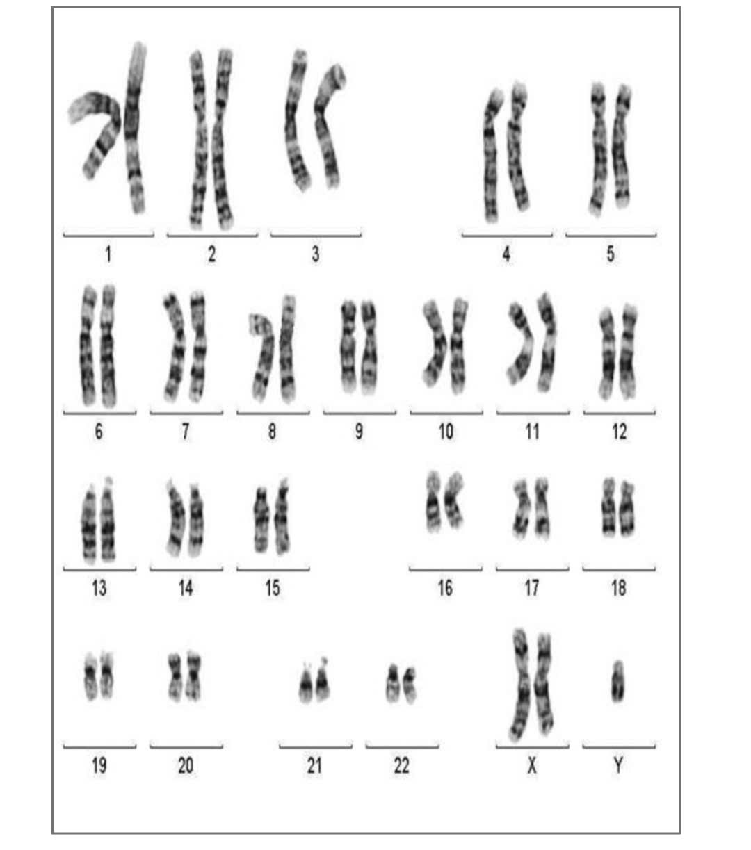 Ảnh câu hỏi 228