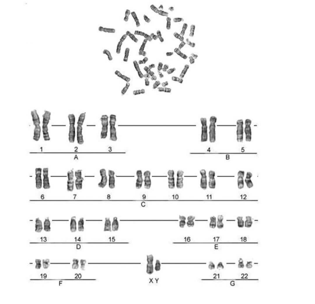 Ảnh câu hỏi 229