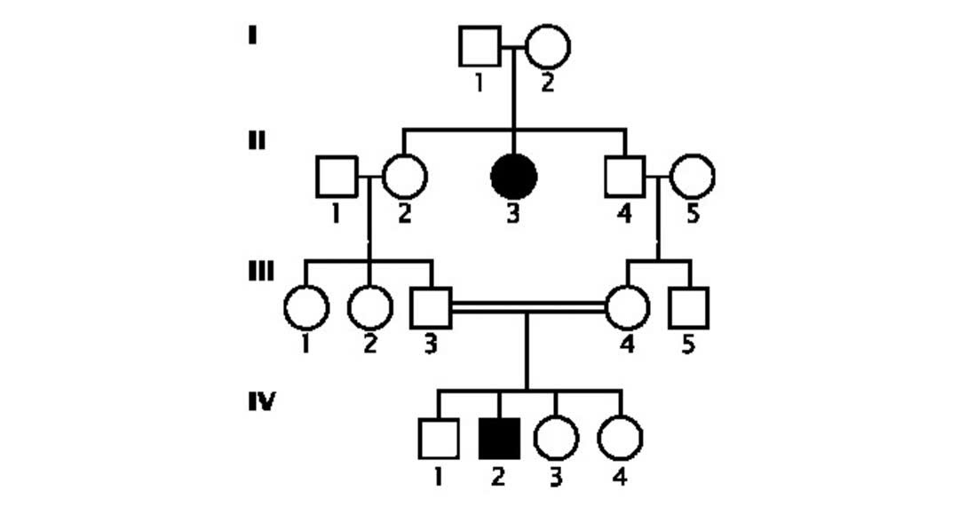 Ảnh câu hỏi 282